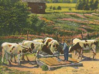 Dairy farm scene, 1937. Loc. no. SA3.1 r96 