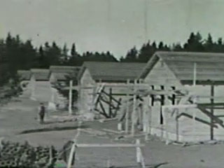 Film: Improvement work in the state forests by CCC's [1935?]. Loc.
no. E-37