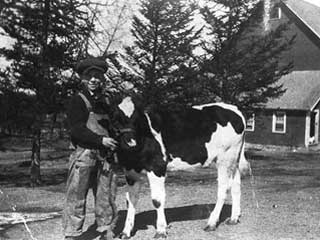 Evert Mainquist with calf, 1920. Loc. no. SA3.1 r94