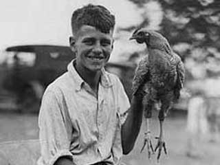 A 4-H member with his Barred Plymouth Rock Rooster. FM6.55A p26