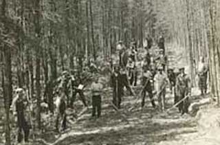 Photo: Civilian Conservation Corps Company 1761, building a road near Bemidji, ca. 1935.