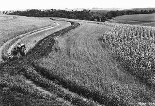 Contour plowing near Millville, Wabasha County, 1937. 