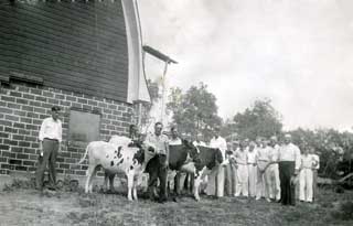 Melfred Roragen with three 4-H dairy calves, 1936.