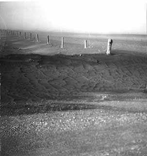 Dust bowl scene, Swift County, 1935.
