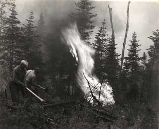 Civilian Conservation Corps fire fighters in northern Minnesota, 1933.