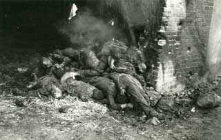 Photo: Victims of the Gardelegen Atrocity awaiting burial.