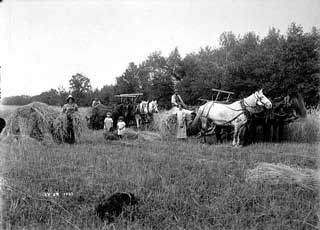 Harvest, 1927.