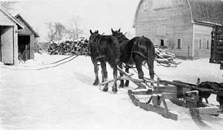 Photo: Hauling wood by horse-drawn sleigh on Magnus Johnson farm, Meeker County, 1932.