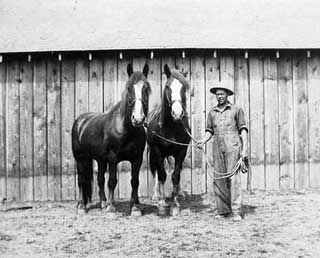 Photo: Man with two horses, 1925.