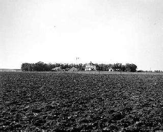 Photo: Farm in Windbreak Near Lamberton, 1936.