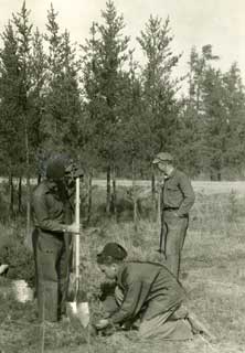 CCC boys planting trees, 1934.